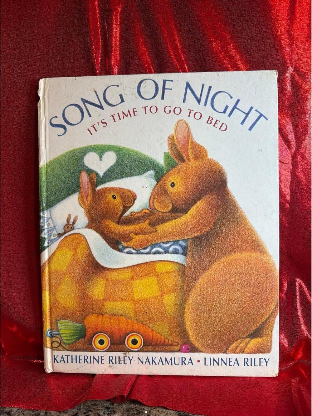 children's picture book "Song of Night: It's Time to Go to Bed" written by Kathe